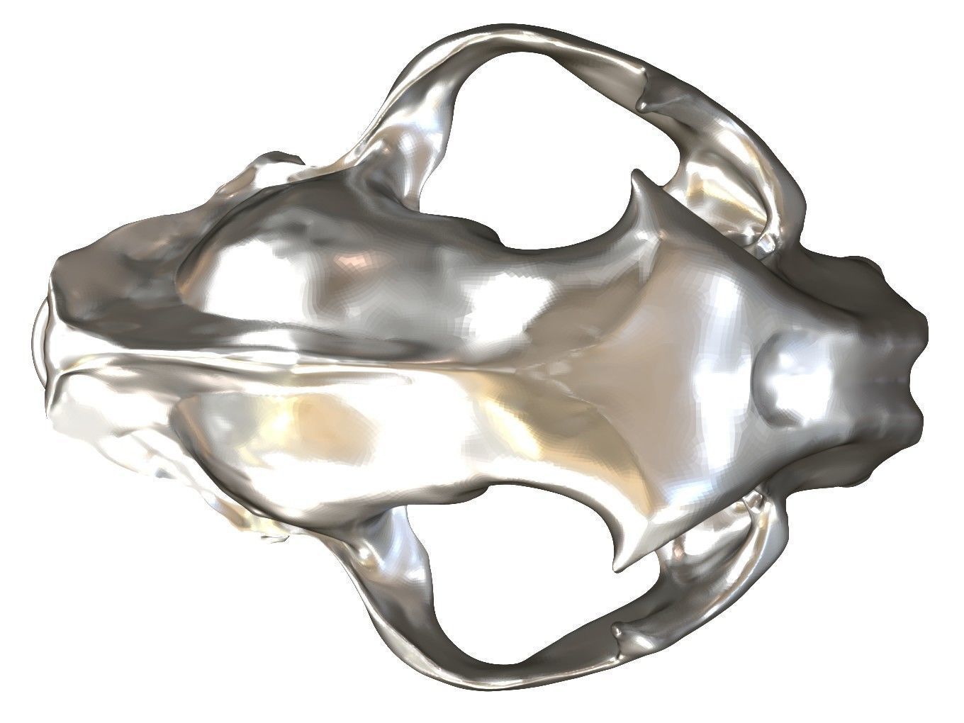 Cranium Lion Charm 3D print model_7