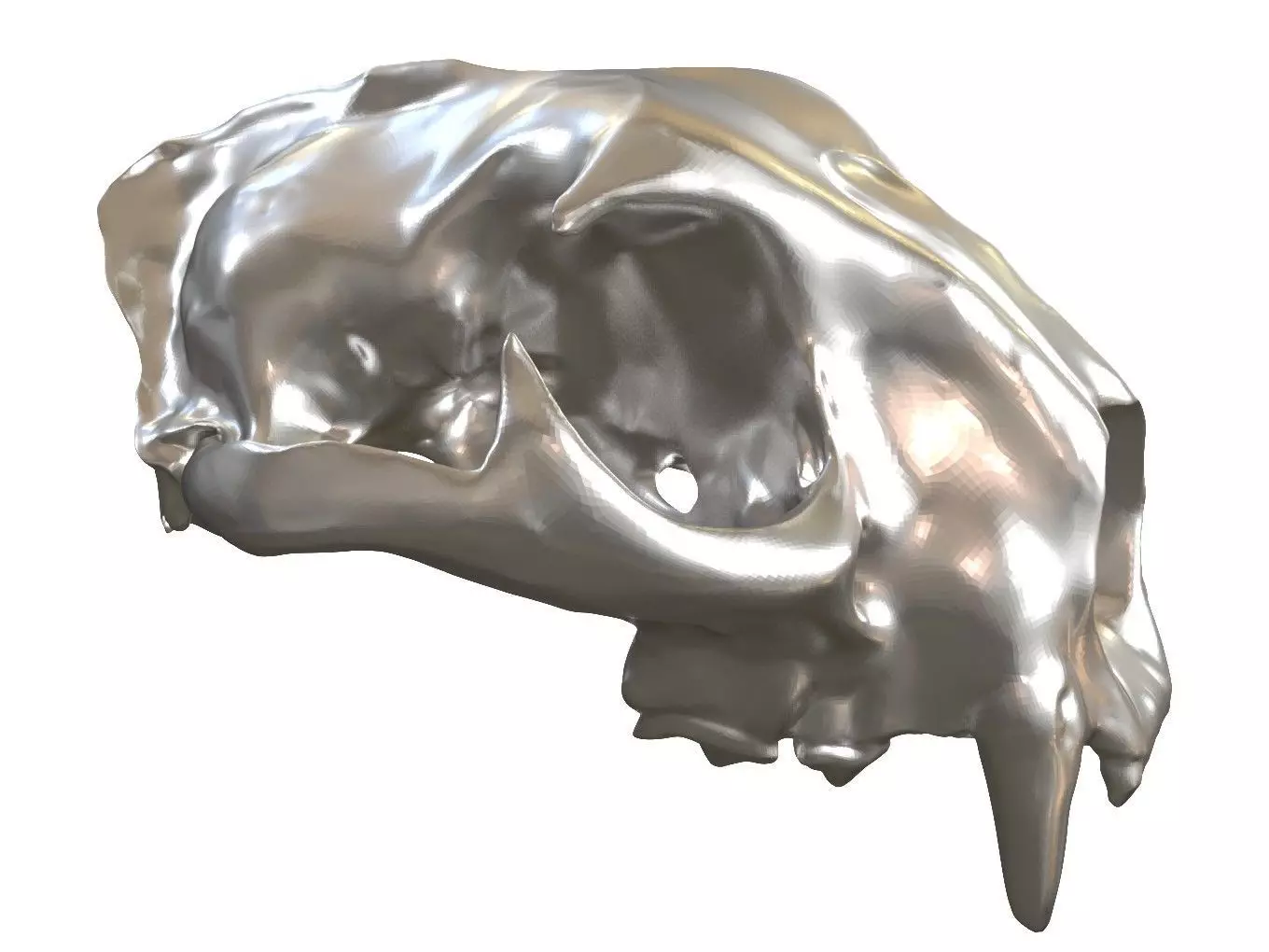 Cranium Lion Charm 3D print model_0