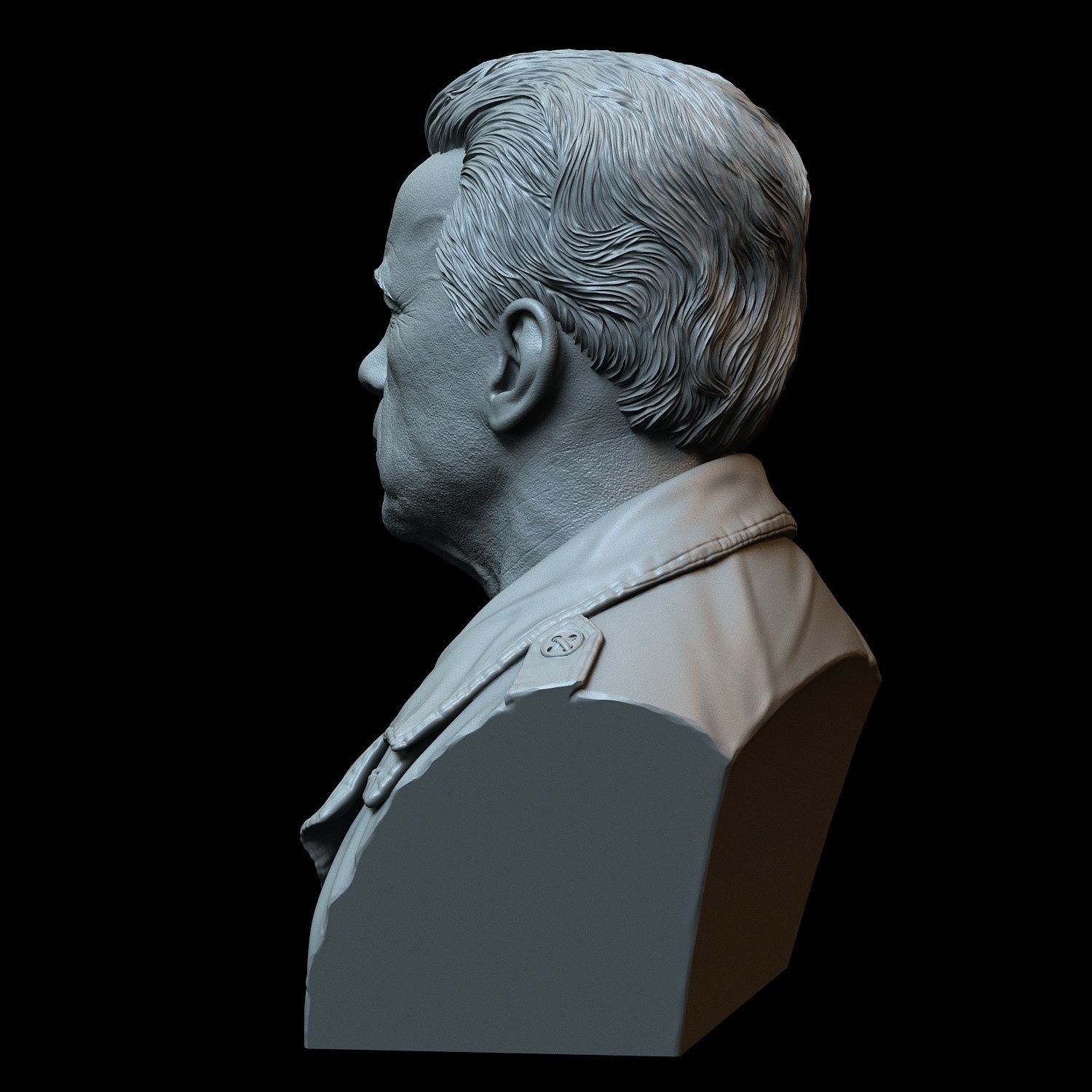 Arnold Schwarzenegger 3D print model_16