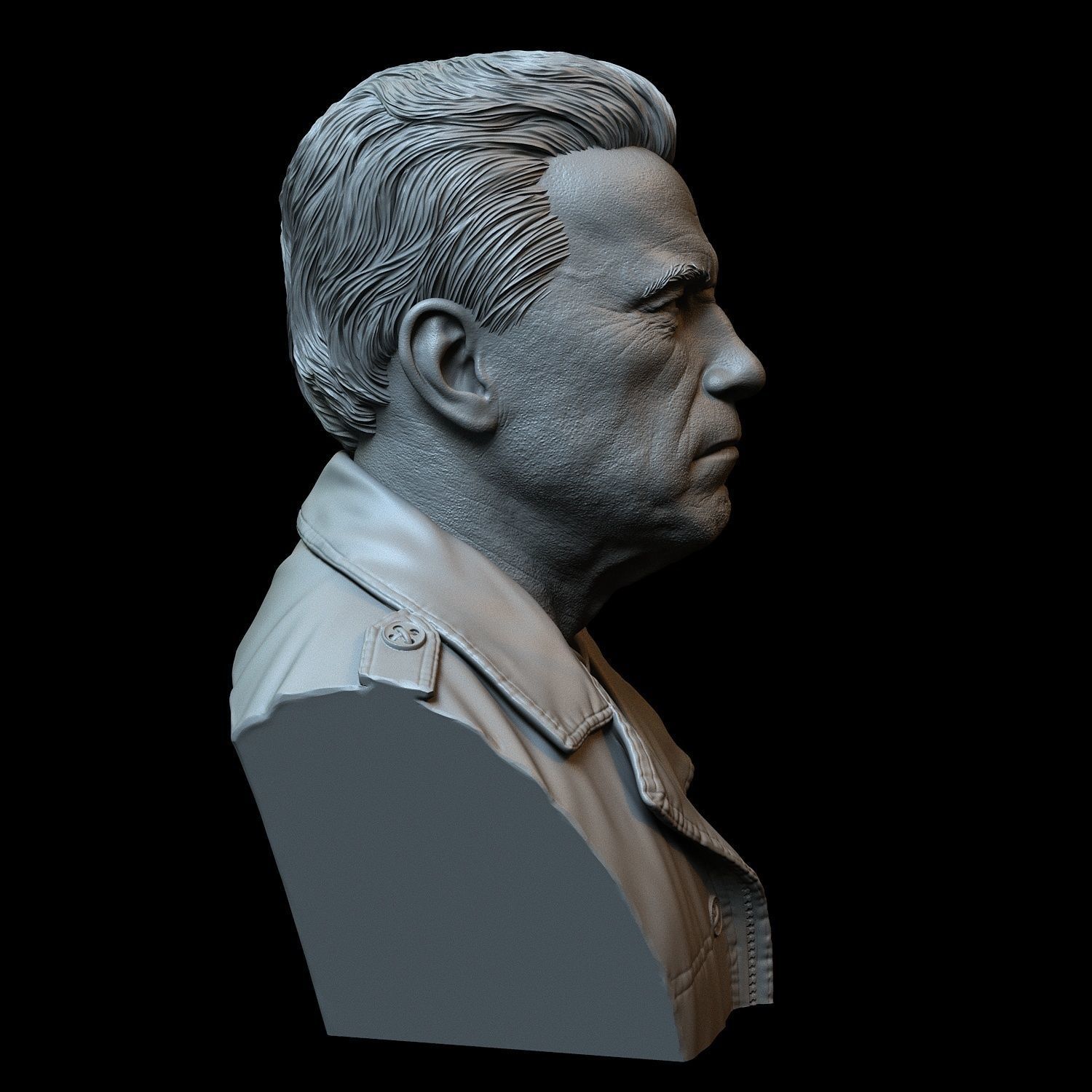 Arnold Schwarzenegger 3D print model_19