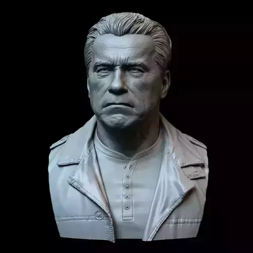 Arnold Schwarzenegger 3D print model