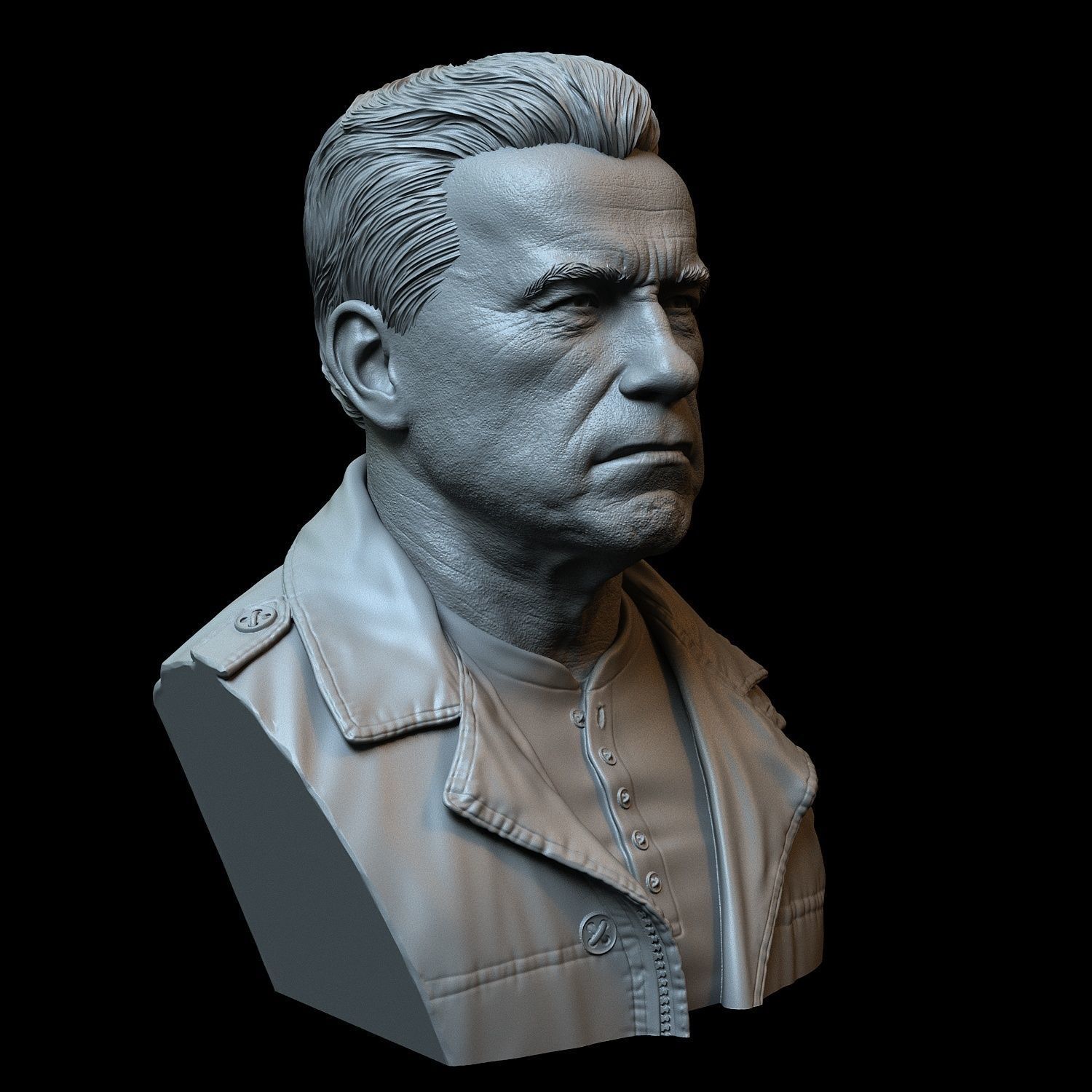 Arnold Schwarzenegger 3D print model_13