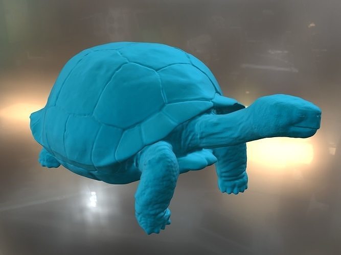 Galapagos Turtle 3D print model