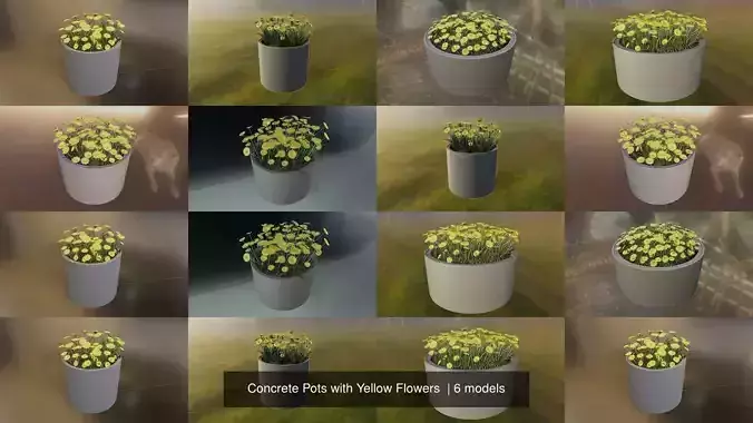 Concrete Pots with Yellow Flowers 