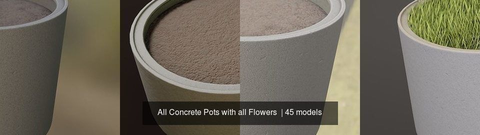 All Concrete Pots with all Flowers  3D Model Collection_37