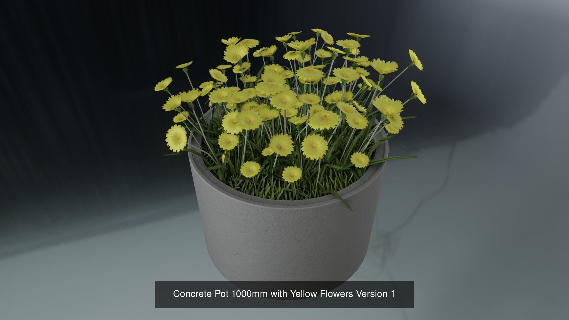 All Concrete Pots with all Flowers  3D Model Collection_82