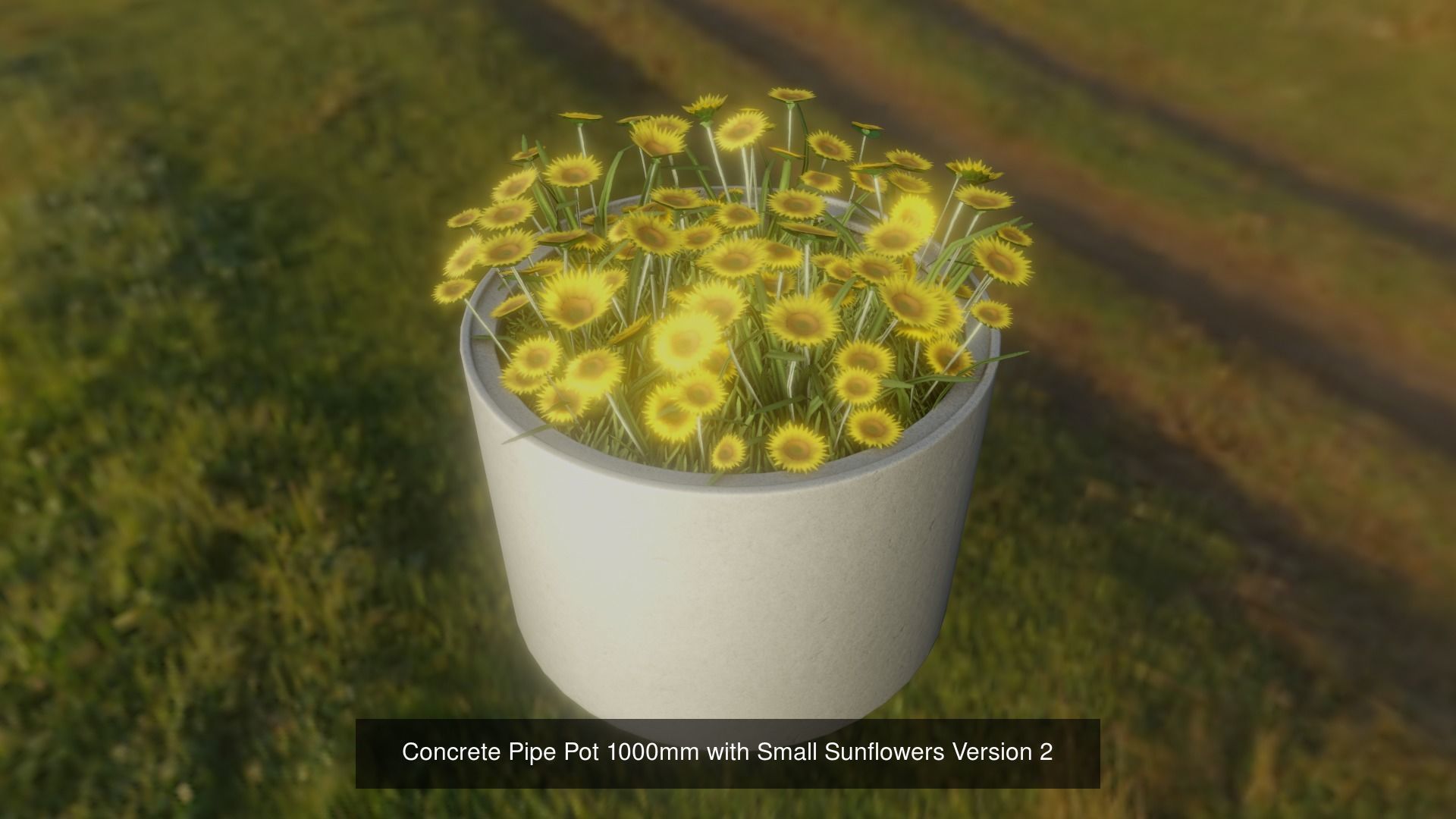 All Concrete Pots with all Flowers  3D Model Collection_64