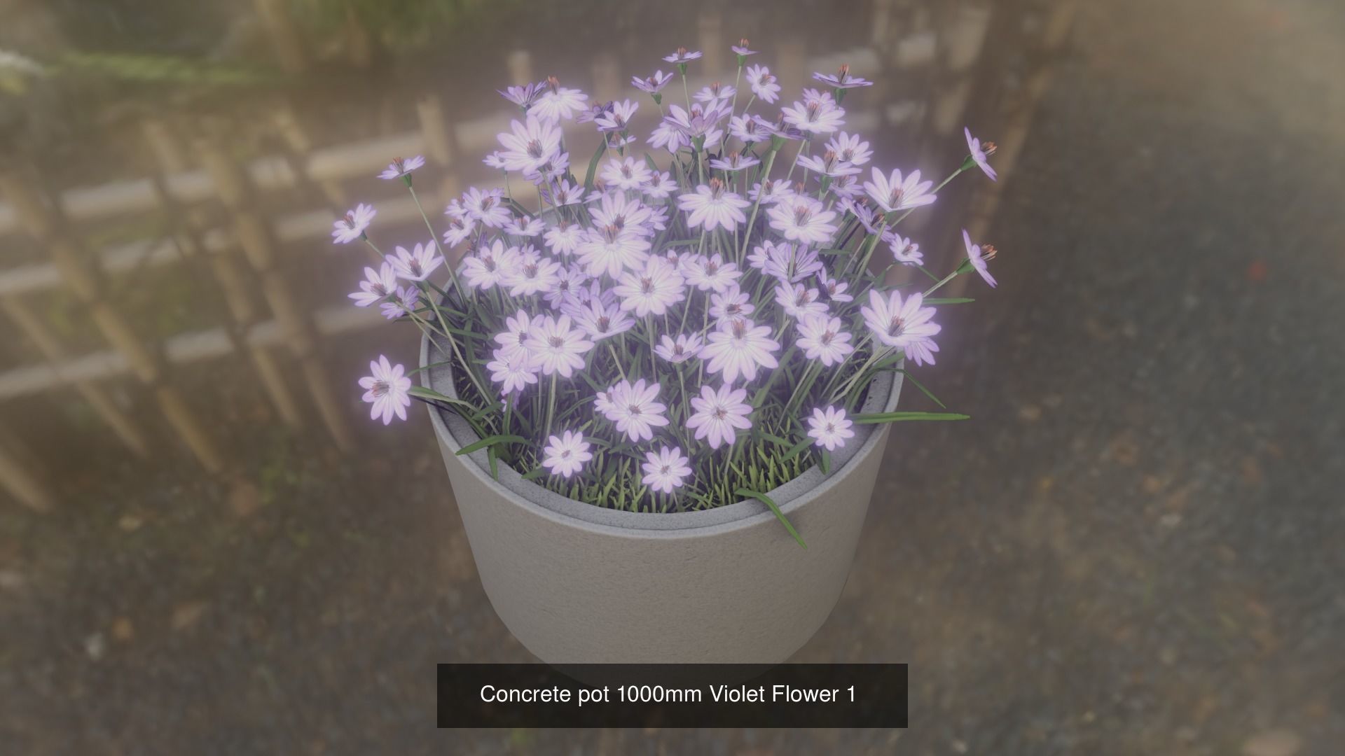 All Concrete Pots with all Flowers  3D Model Collection_70