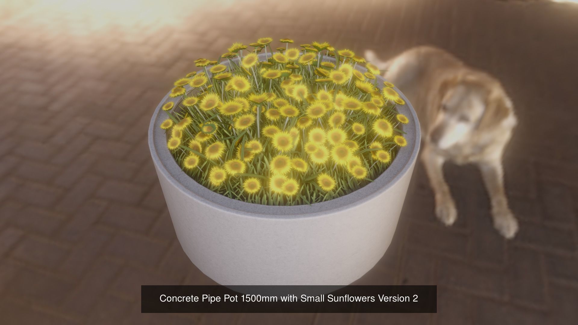 All Concrete Pots with all Flowers  3D Model Collection_63