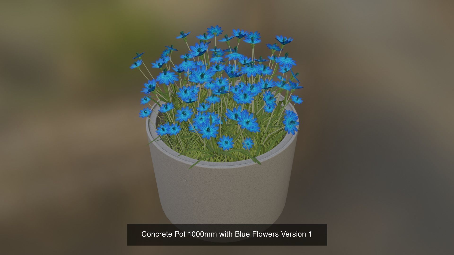 All Concrete Pots with all Flowers  3D Model Collection_58