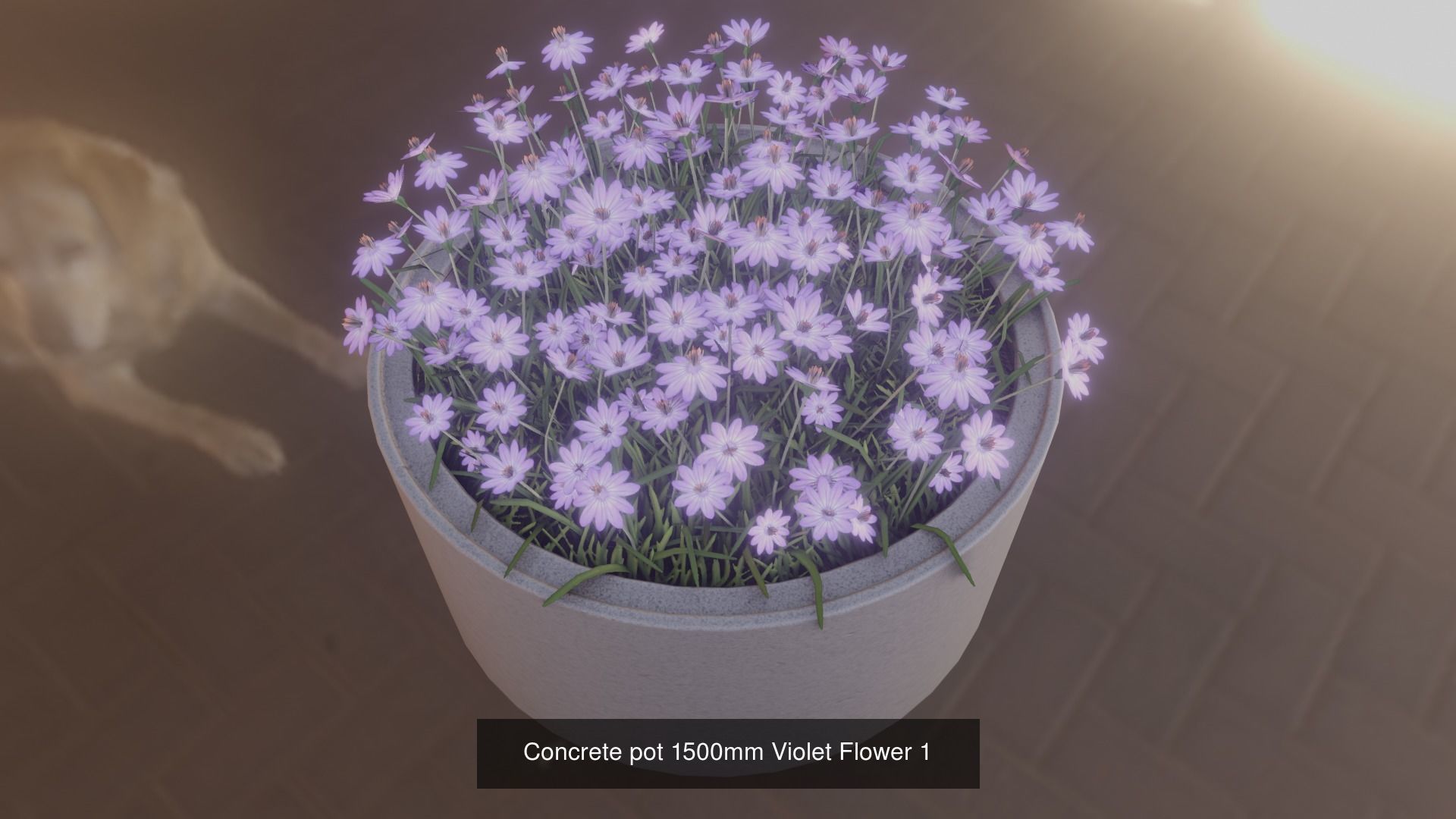All Concrete Pots with all Flowers  3D Model Collection_68