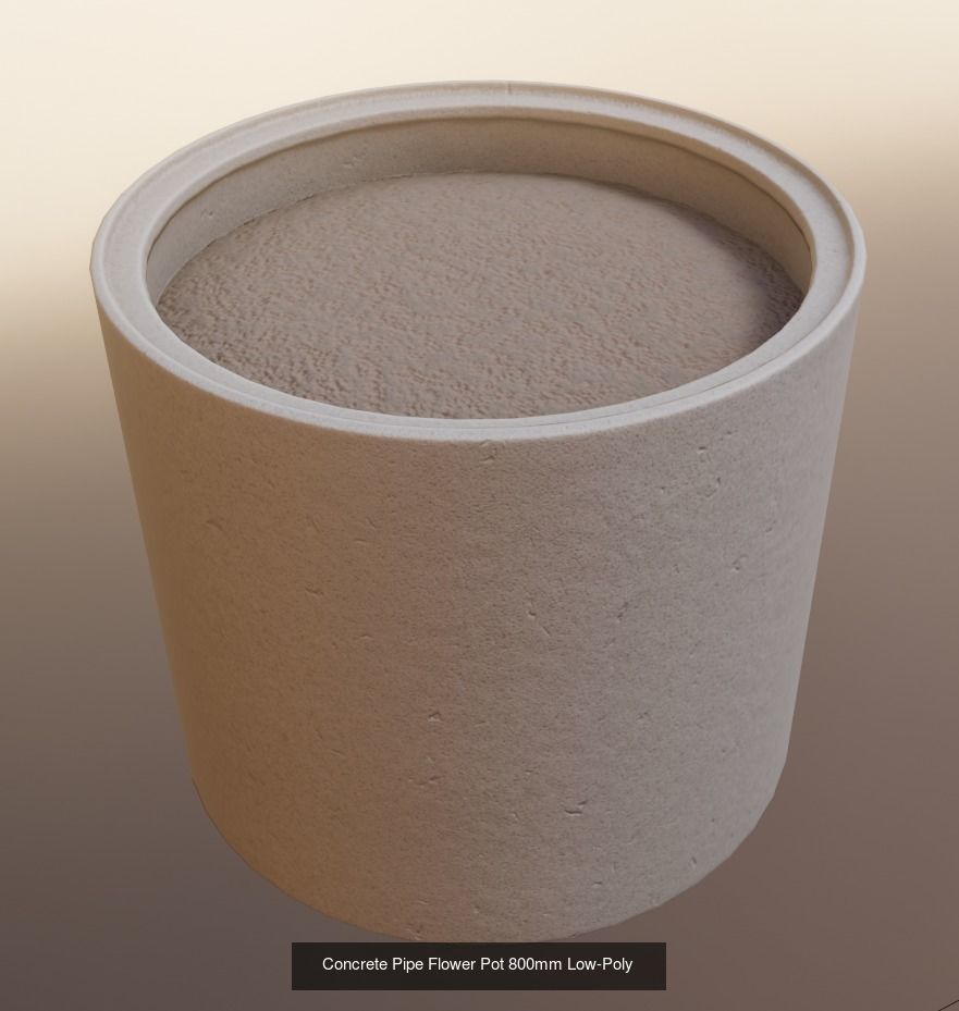 All Concrete Pots with all Flowers  3D Model Collection_46