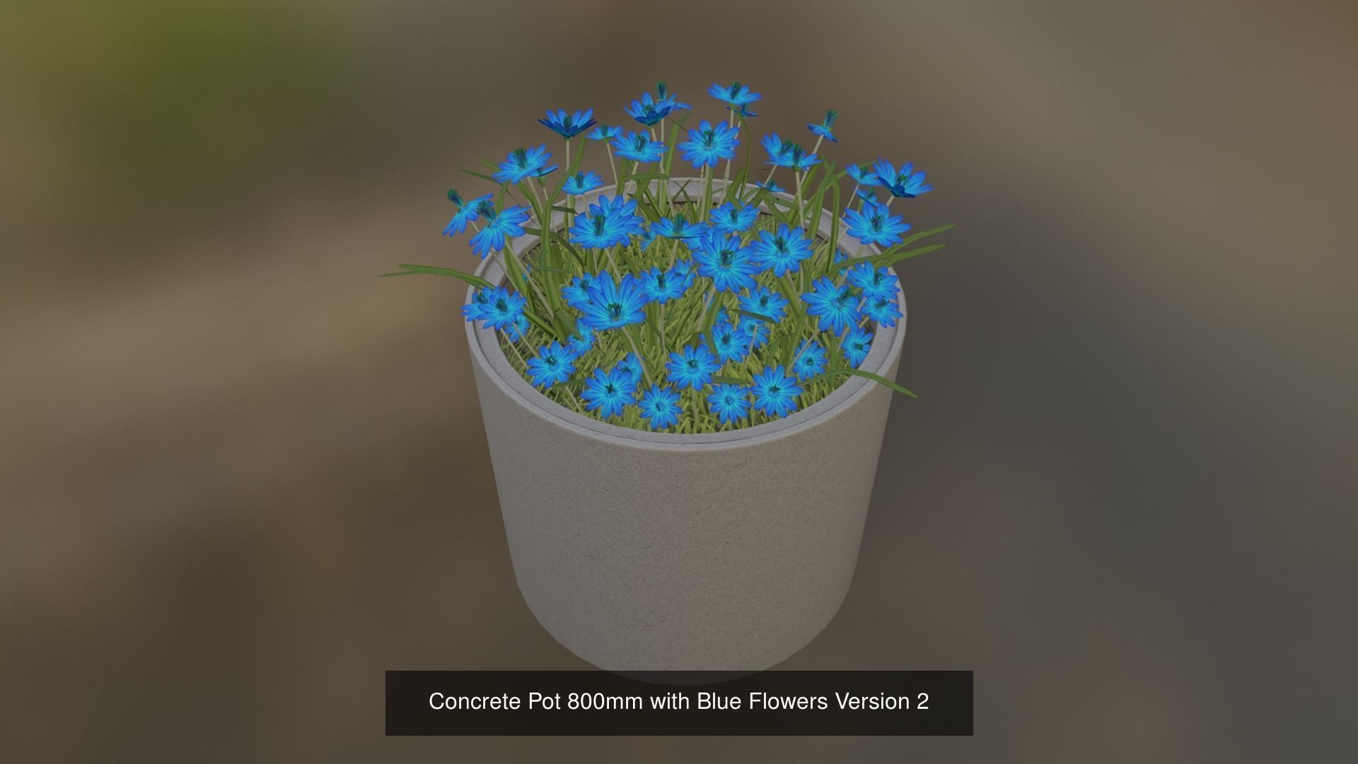 All Concrete Pots with all Flowers  3D Model Collection_54