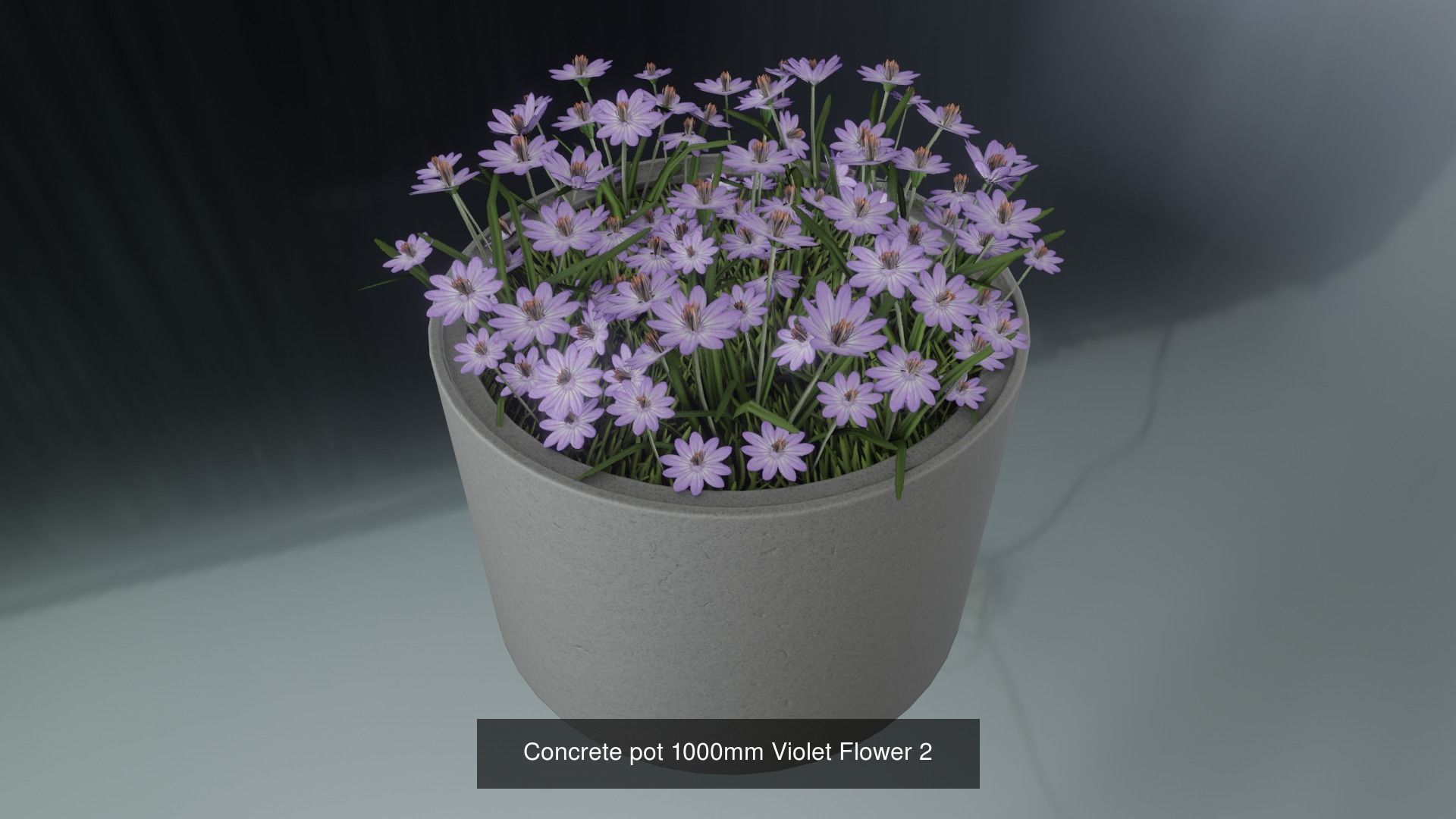 All Concrete Pots with all Flowers  3D Model Collection_69