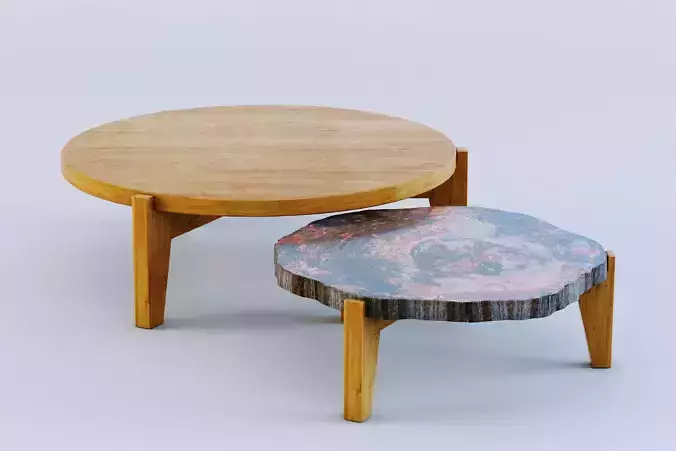 Petrified Wood and Cherry Wood coffee tables