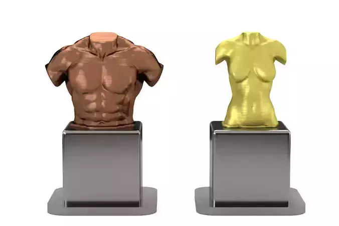 upper body sculpture - manquen Free low-poly 3D model