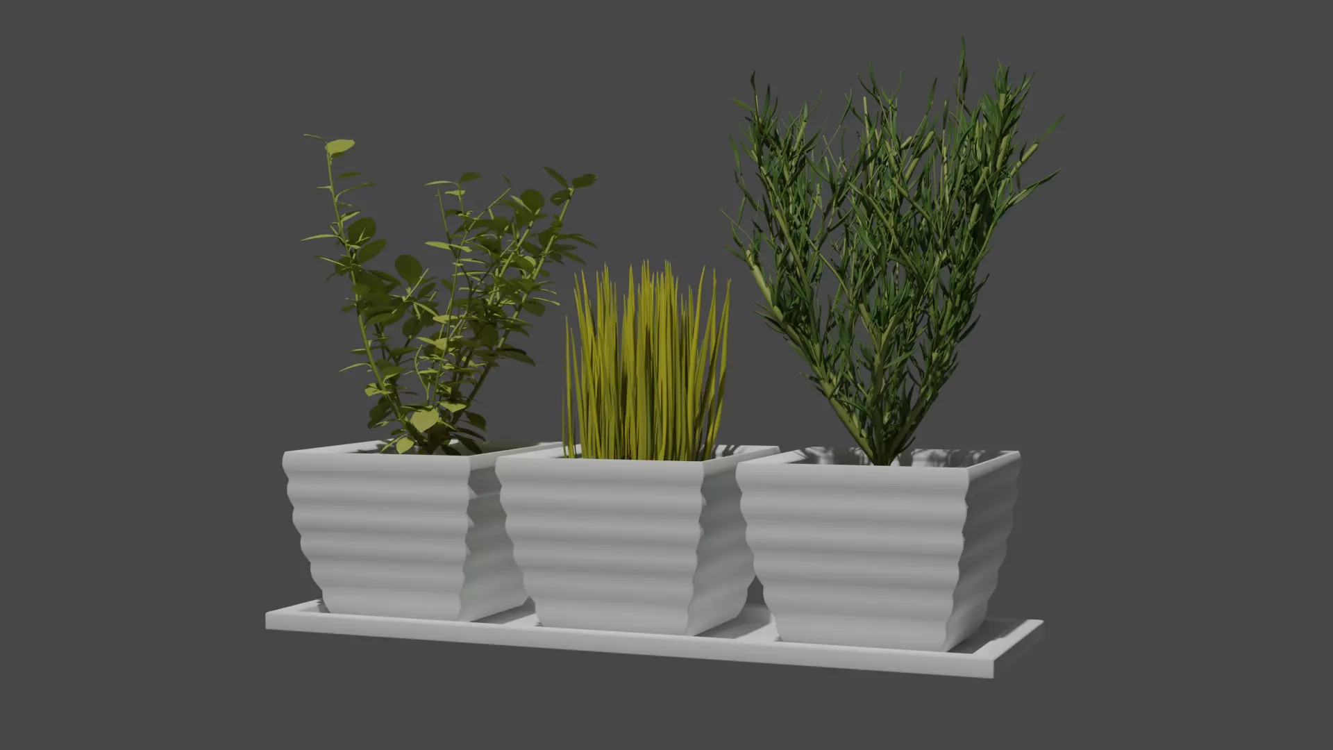 Herbs three potted plants Free 3D model_0