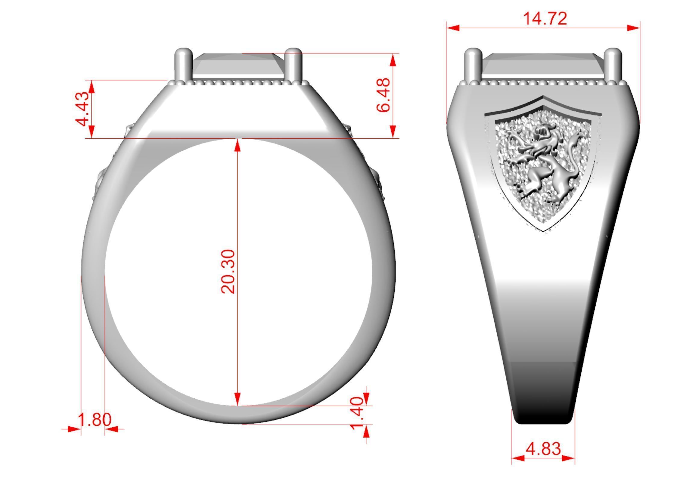 Ring lion on the shield and a large stone 3D print model_6