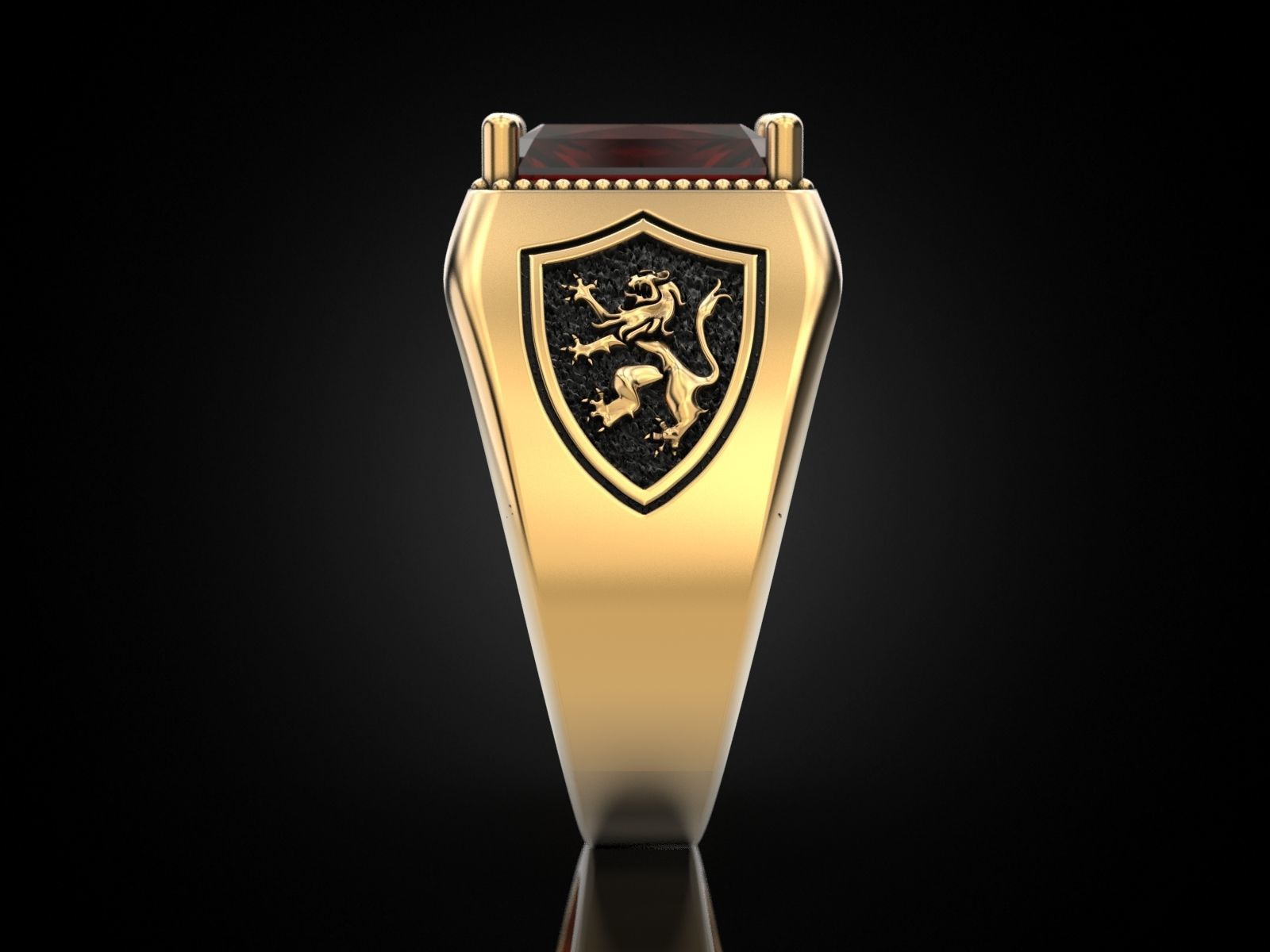 Ring lion on the shield and a large stone 3D print model_10