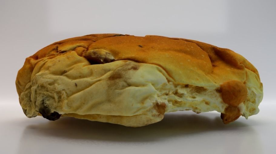 Raisin Bread Low-poly 3D model_2