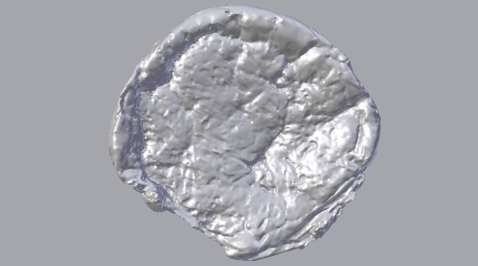 Raisin Bread Low-poly 3D model_19