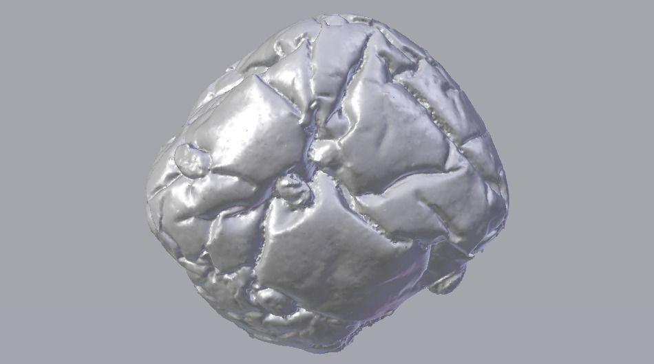 Raisin Bread Low-poly 3D model_18