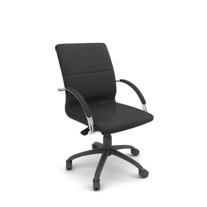 Professional Rolling Office Chair 3D model_0