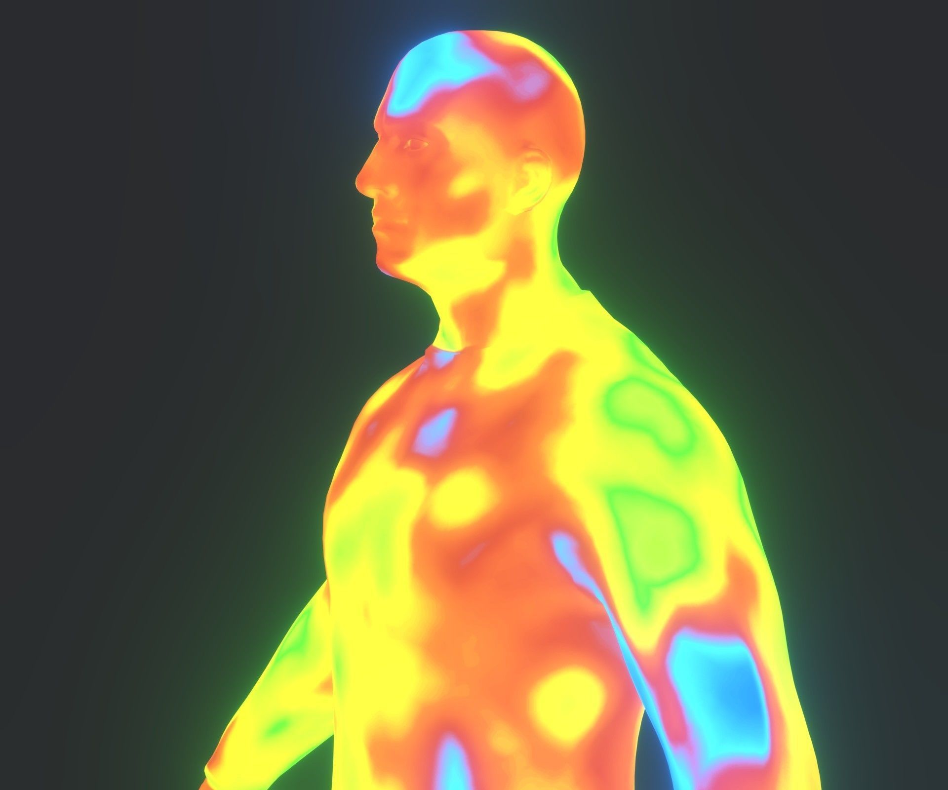 Human Thermal Image Heatmap Male and Female 3D Model Low-poly 3D model_19