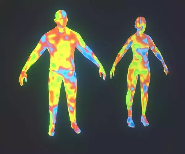 Human Thermal Image Heatmap Male and Female 3D Model Low-poly 3D model