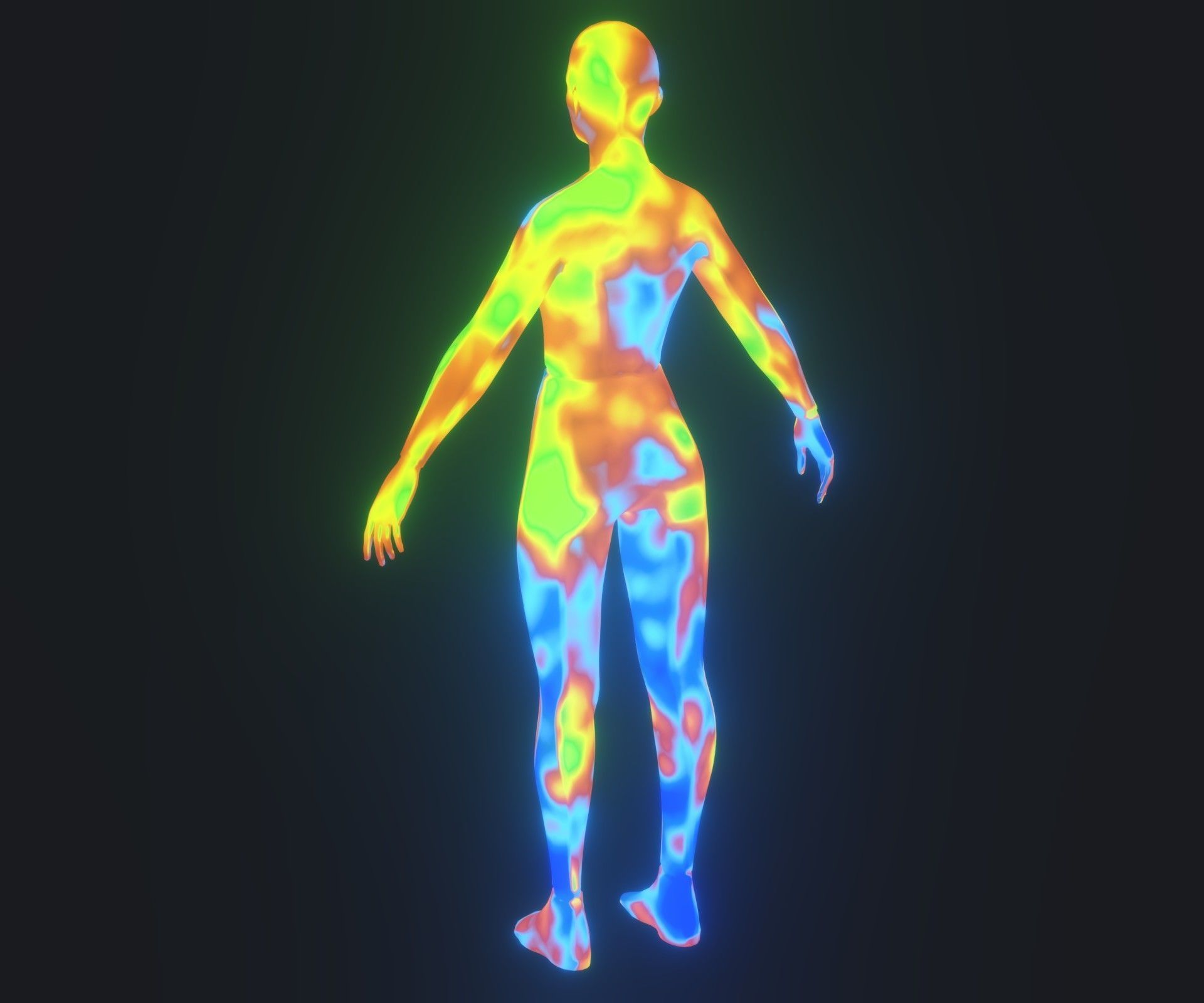 Human Thermal Image Heatmap Male and Female 3D Model Low-poly 3D model_38