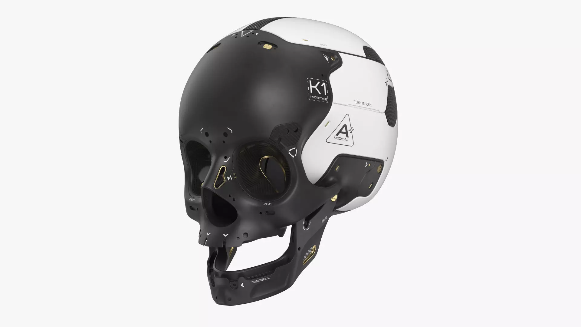Artificial Skull 3D model_0