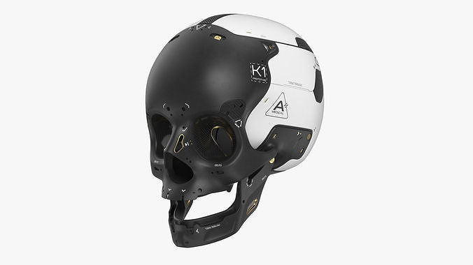 Artificial Skull 3D model
