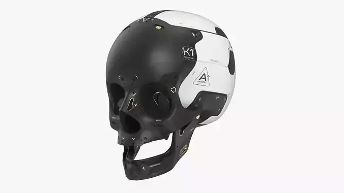 Artificial Skull 3D model