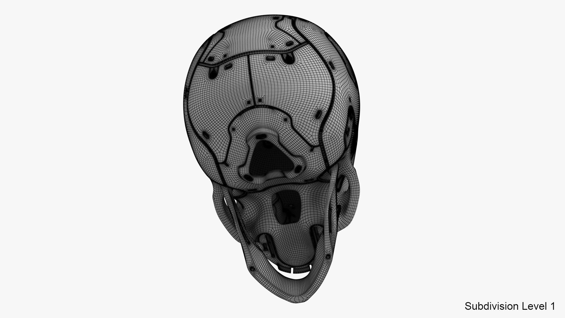 Artificial Skull 3D model_22
