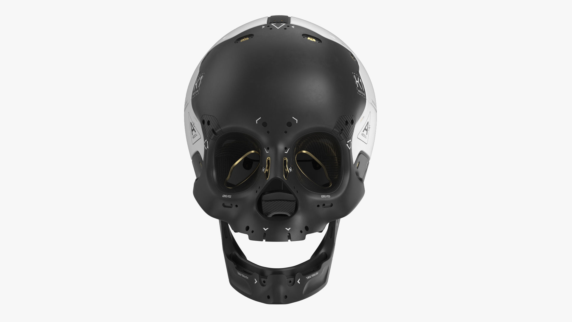Artificial Skull 3D model_1