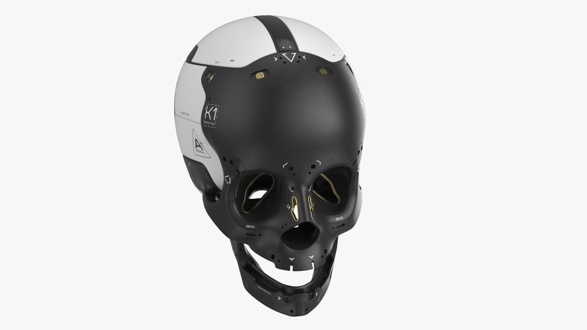 Artificial Skull 3D model_10