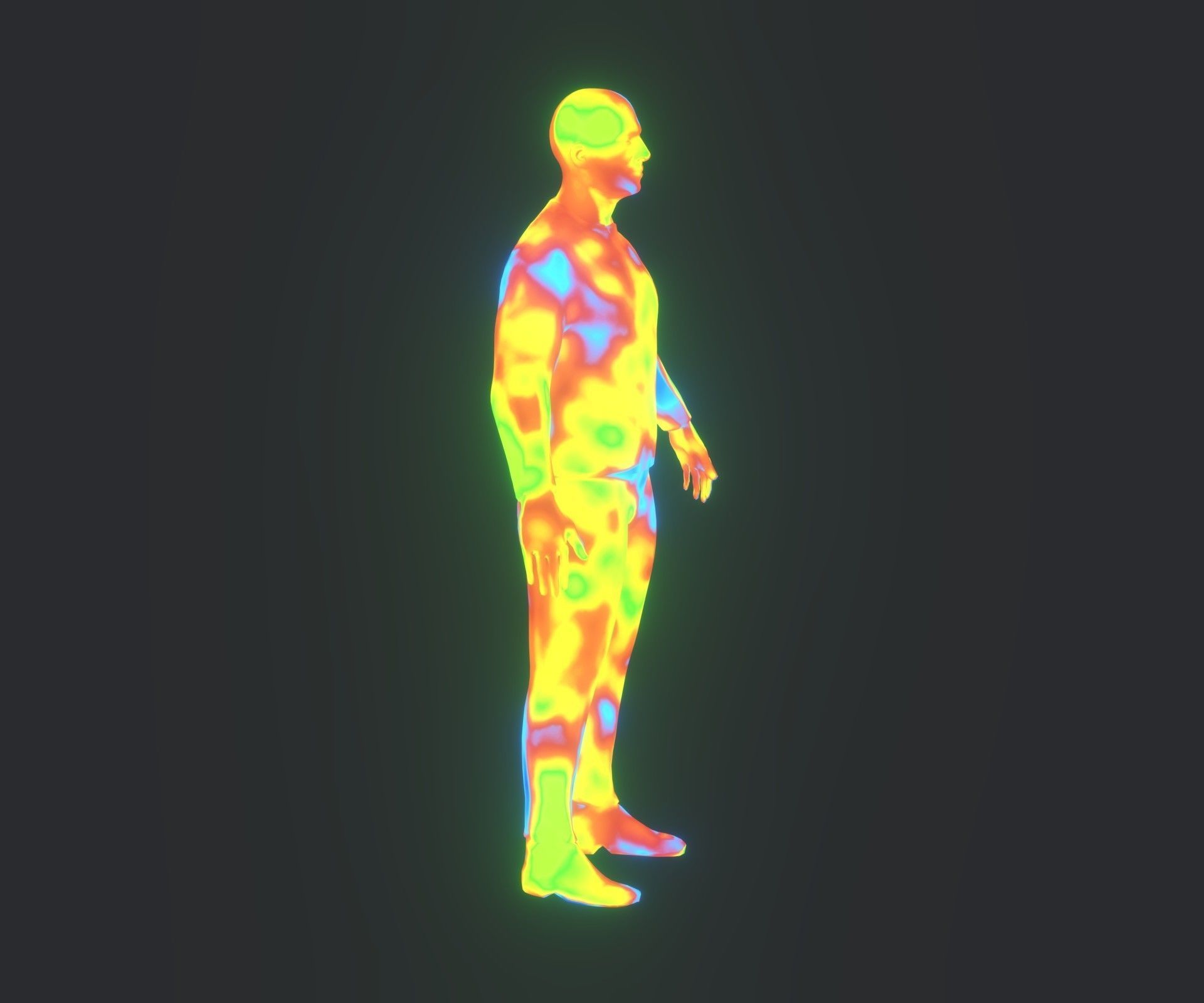 Human Body Thermal Image Heatmap 3D Model 3D Model Collection_17