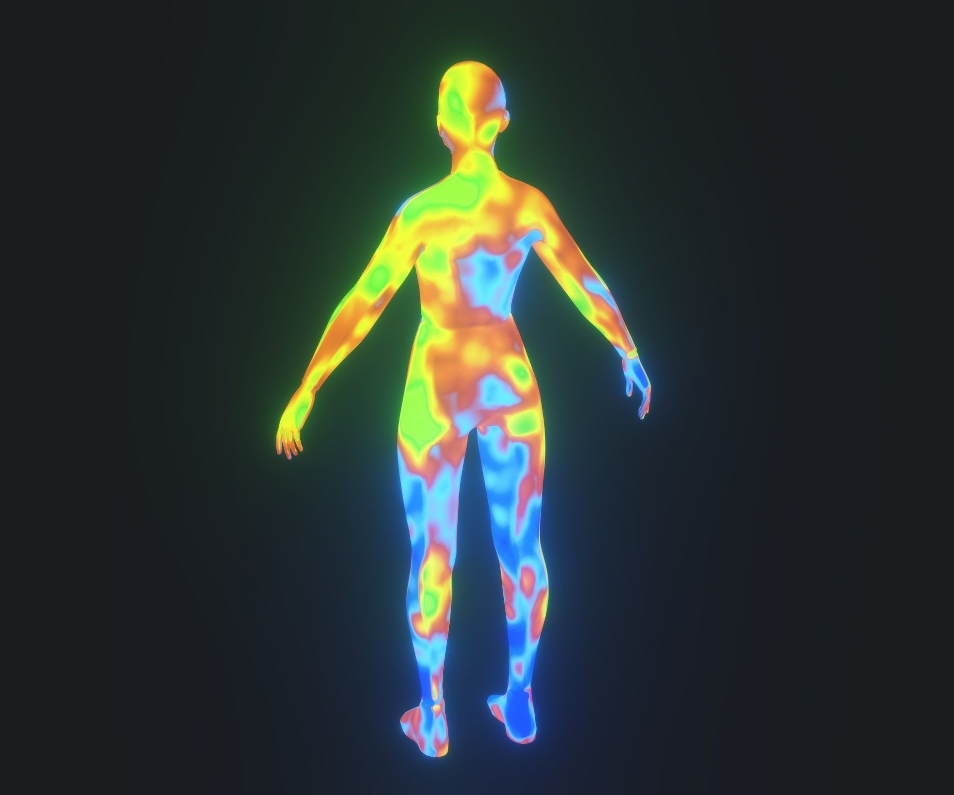 Human Body Thermal Image Heatmap 3D Model 3D Model Collection_40