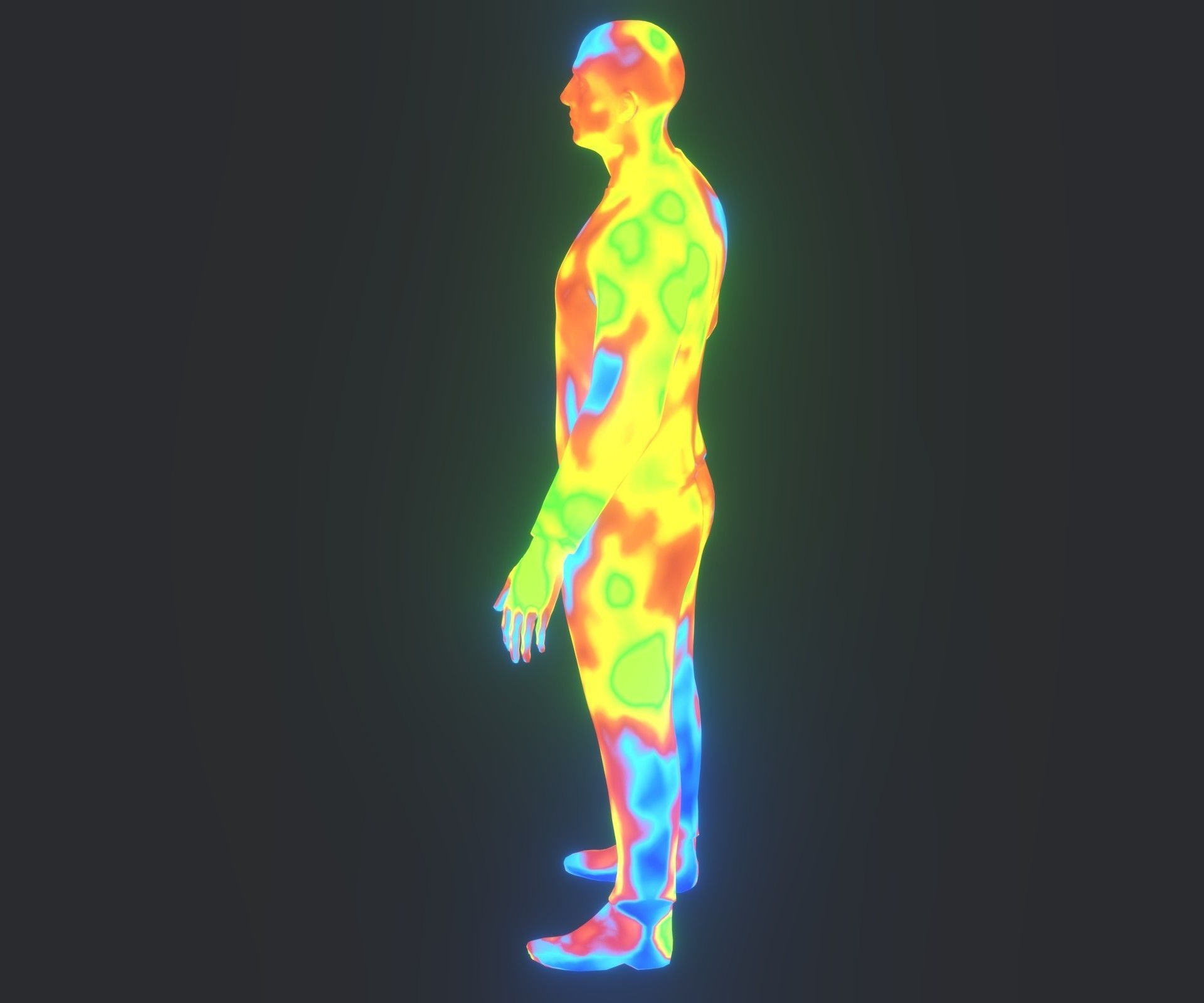 Human Body Thermal Image Heatmap 3D Model 3D Model Collection_15