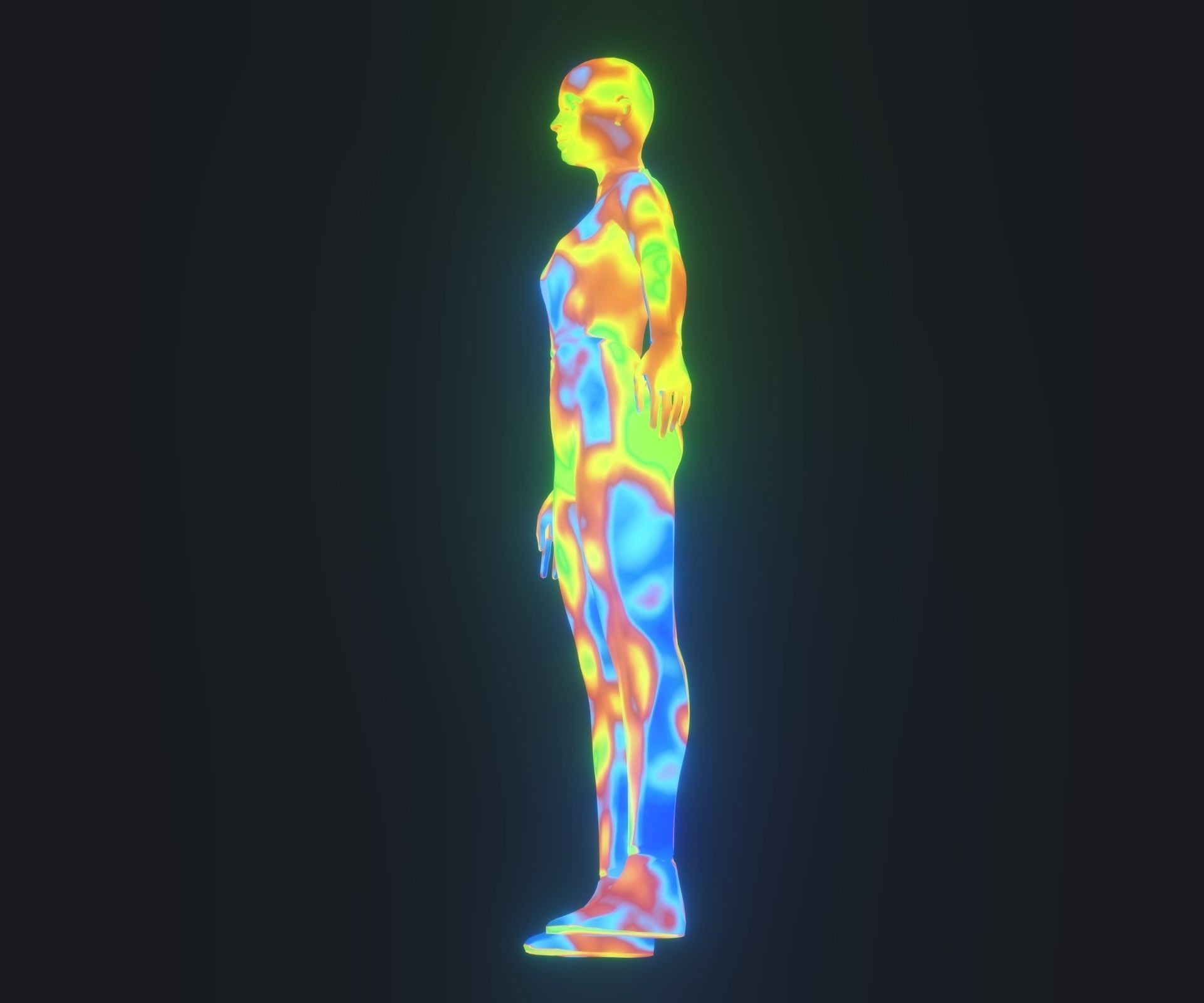 Human Body Thermal Image Heatmap 3D Model 3D Model Collection_27