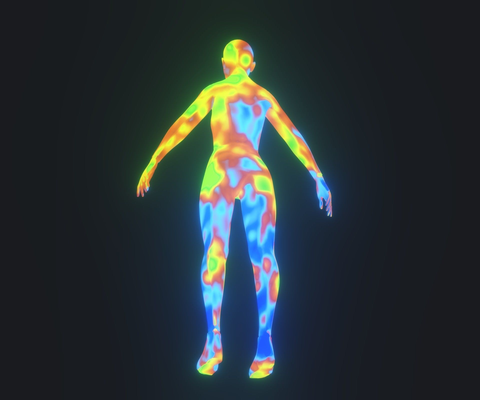 Human Body Thermal Image Heatmap 3D Model 3D Model Collection_11