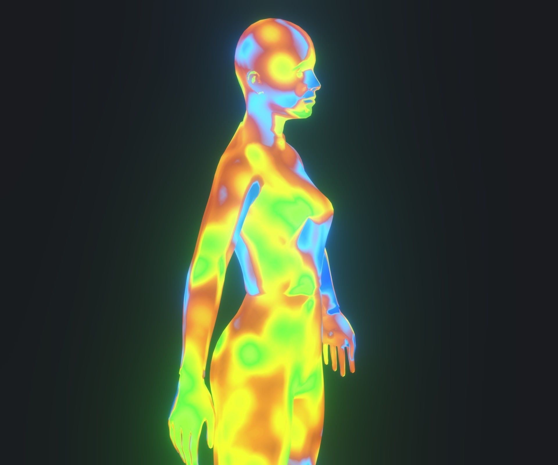 Human Body Thermal Image Heatmap 3D Model 3D Model Collection_22