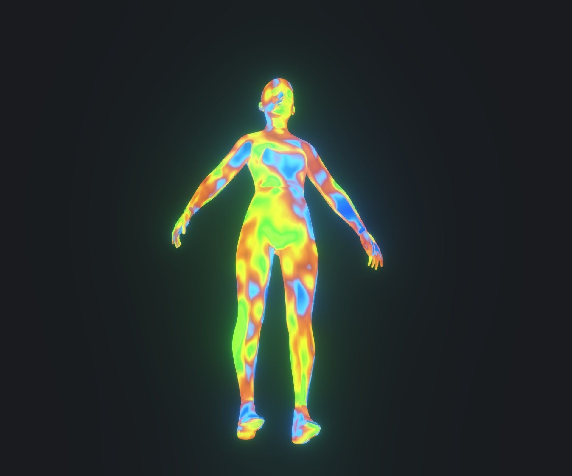 Human Body Thermal Image Heatmap 3D Model 3D Model Collection_4