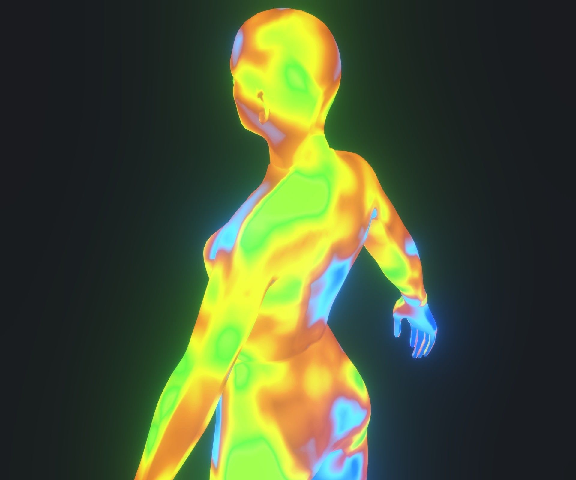 Human Body Thermal Image Heatmap 3D Model 3D Model Collection_34
