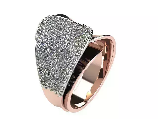 Freelance ring 2 parts