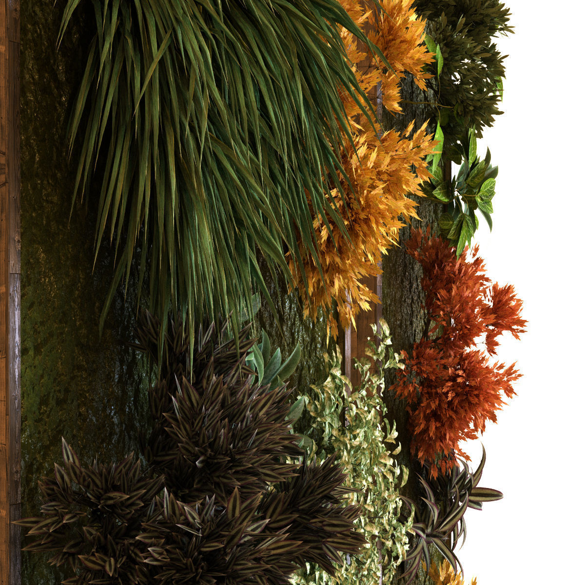 vertical plant set 038 Low-poly 3D model_5