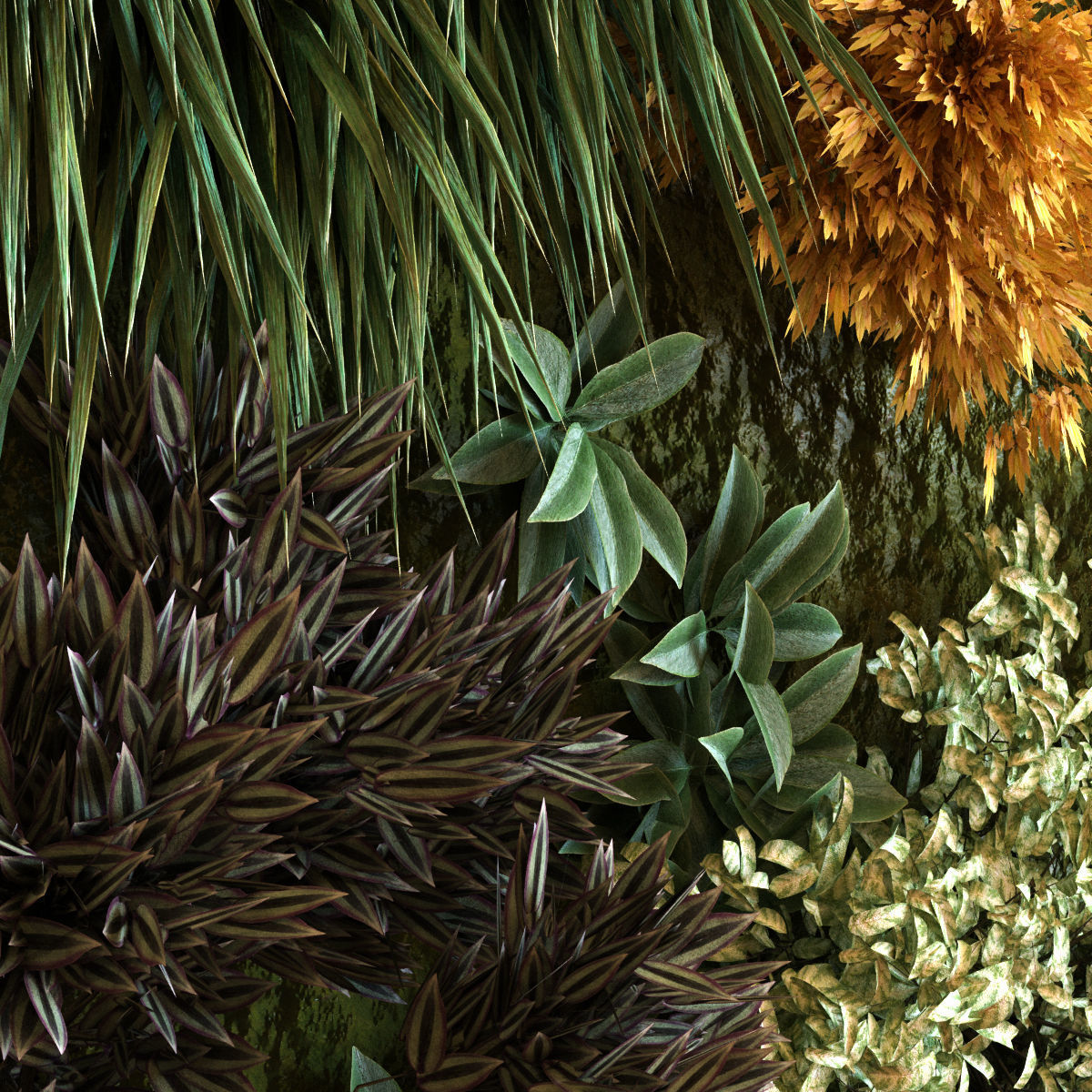 vertical plant set 038 Low-poly 3D model_3