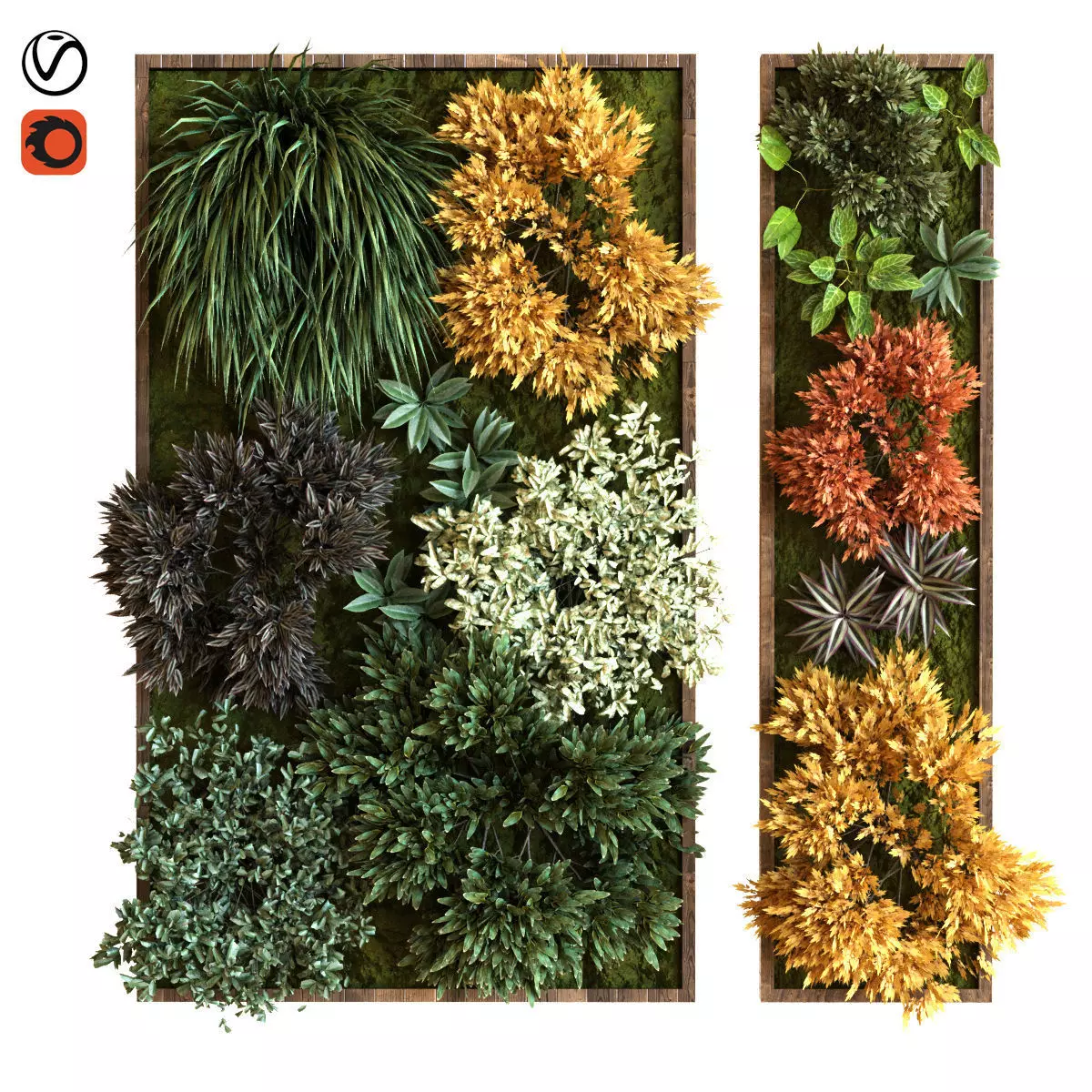 vertical plant set 038 Low-poly 3D model_0