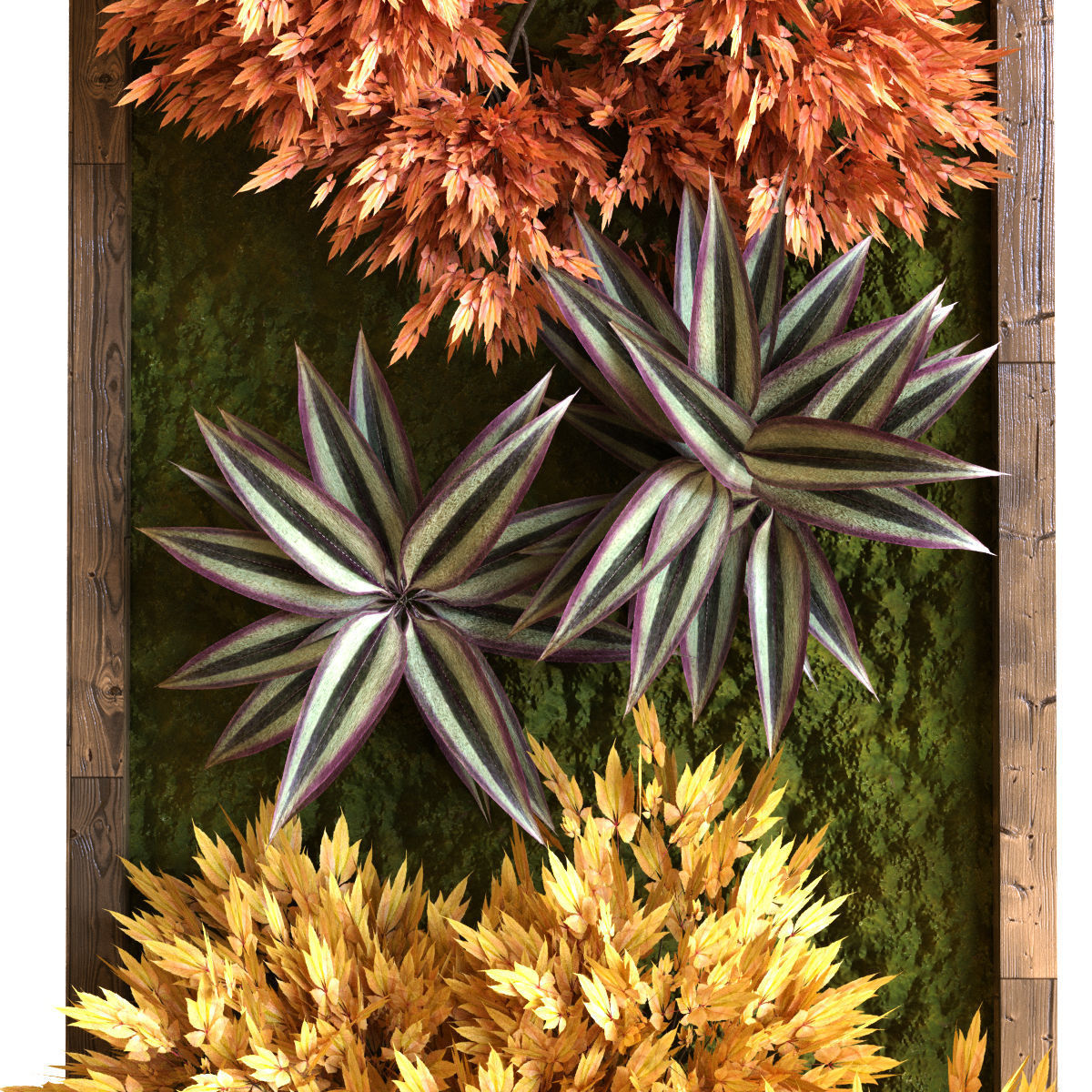 vertical plant set 038 Low-poly 3D model_4