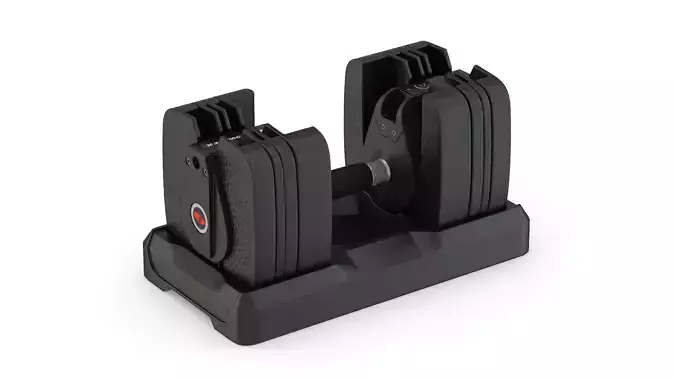 Bowflex SelectTech 560 Dumbbells 3D model